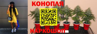 ешки Балаково