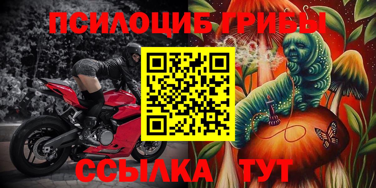 Псилоцибиновые грибы Magic Shrooms Волжск